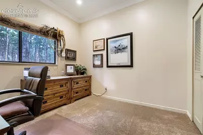 16265 Roller Coaster Road, Colorado Springs, CO 80921 - Photo 31