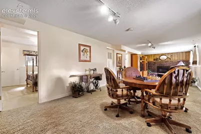 16265 Roller Coaster Road, Colorado Springs, CO 80921 - Photo 13