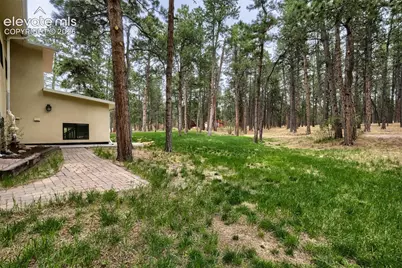 16265 Roller Coaster Road, Colorado Springs, CO 80921 - Photo 33