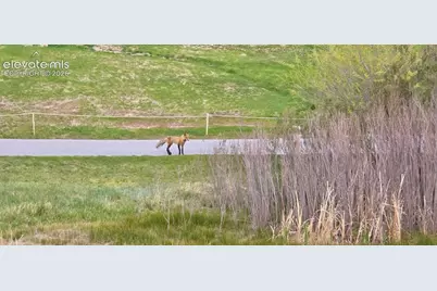 8740 Royal Melbourne Circle, Peyton, CO 80831 - Photo 47