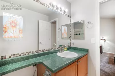 1643 S Canoe Creek Drive, Colorado Springs, CO 80906 - Photo 25