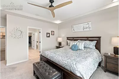6001 Bennach Grove, Colorado Springs, CO 80927 - Photo 19