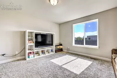 2971 Namib Drive, Colorado Springs, CO 80939 - Photo 9