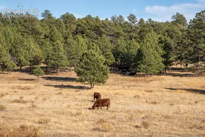 Woodhaven Ridge Road, Parker, CO 80134 - Photo 27