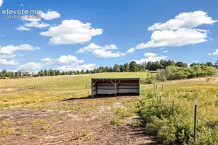 16685 Roller Coaster Rd, Colorado Springs, CO 80921 - Photo 39
