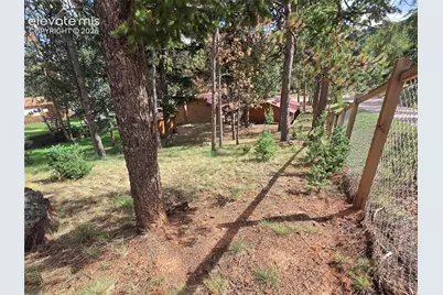 1020 W Lorraine Avenue, Woodland Park, CO 80863 - Photo 15
