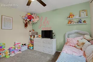 153 Rose Dr, Colorado Springs, CO 80911 - Photo 23