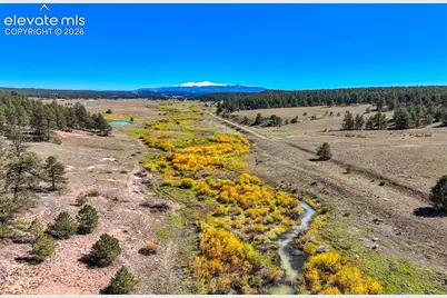 39858 Highway 24, Lake George, CO 80827 - Photo 35