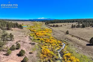 39858 Hwy 24, Lake George, CO 80827 - Photo 35