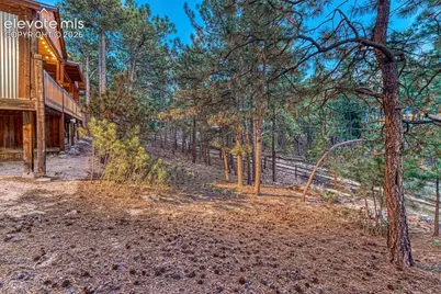 1115 Becky Drive, Colorado Springs, CO 80921 - Photo 41