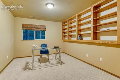 1115 Becky Drive, Colorado Springs, CO 80921 - Photo 29