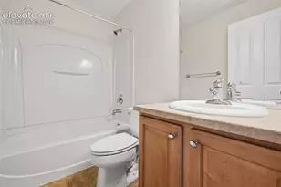 972 Burning Bush Point, Monument, CO 80132 - Photo 25