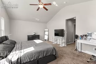 7437 Bigtooth Maple Dr, Colorado Springs, CO 80925 - Photo 19