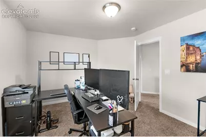 7437 Bigtooth Maple Drive, Colorado Springs, CO 80925 - Photo 27