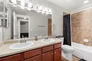 7437 Bigtooth Maple Dr, Colorado Springs, CO 80925 - Photo 39