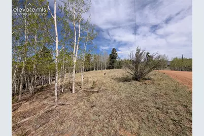 905 May Queen Drive, Cripple Creek, CO 80813 - Photo 1