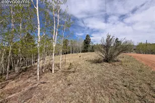 905 May Queen Dr, Cripple Creek, CO 80813 - Photo 1