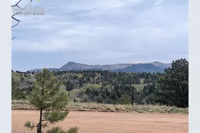 905 May Queen Drive, Cripple Creek, CO 80813 - Photo 3