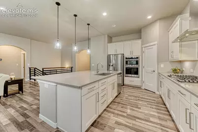 16338 Corkbark Terrace, Monument, CO 80132 - Photo 3