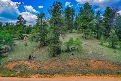 525 Spring Valley Lane, Florissant, CO 80816 - Photo 3