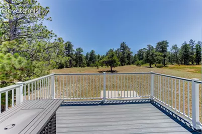 19404 Hilltop Pines Path, Monument, CO 80132 - Photo 43