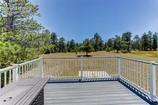 19404 Hilltop Pines Path, Monument, CO 80132 - Photo 43