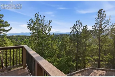 7335 Buckeye Court, Colorado Springs, CO 80918 - Photo 43