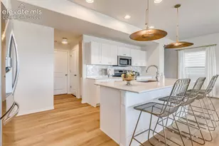 4608 Gneiss Loop, Colorado Springs, CO 80938 - Photo 5