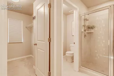 4608 Gneiss Loop, Colorado Springs, CO 80938 - Photo 21