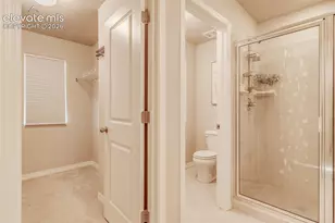 4608 Gneiss Loop, Colorado Springs, CO 80938 - Photo 21
