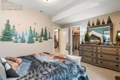6688 Miro Lane, Colorado Springs, CO 80924 - Photo 43