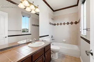 4937 Rainbow Gulch Trail, Colorado Springs, CO 80924 - Photo 33