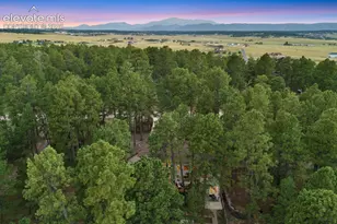 19825 Soaring Wing Dr, Colorado Springs, CO 80908 - Photo 49
