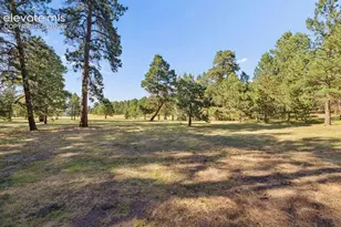 19825 Soaring Wing Dr, Colorado Springs, CO 80908 - Photo 43