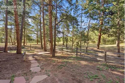 19825 Soaring Wing Drive, Colorado Springs, CO 80908 - Photo 5