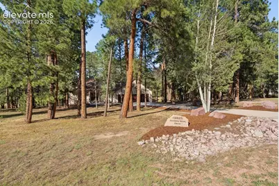 19825 Soaring Wing Drive, Colorado Springs, CO 80908 - Photo 43