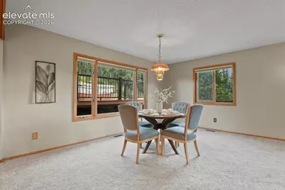 8825 Ute Road, Cascade, CO 80809 - Photo 17