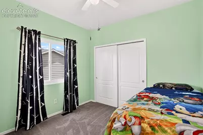 6973 Wood Lily Drive, Colorado Springs, CO 80923 - Photo 39