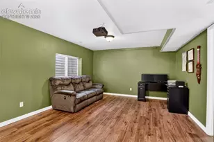 6973 Wood Lily Dr, Colorado Springs, CO 80923 - Photo 43