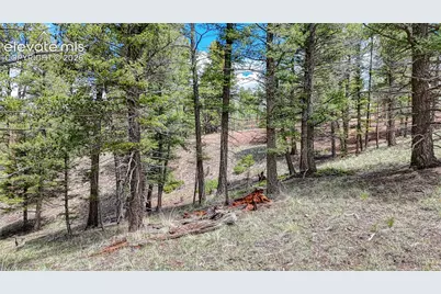 26 N Eldorado Circle, Florissant, CO 80816 - Photo 27