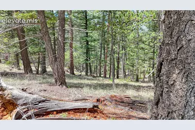26 N Eldorado Circle, Florissant, CO 80816 - Photo 29
