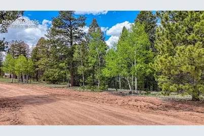 26 N Eldorado Circle, Florissant, CO 80816 - Photo 5