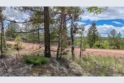 26 N Eldorado Circle, Florissant, CO 80816 - Photo 25