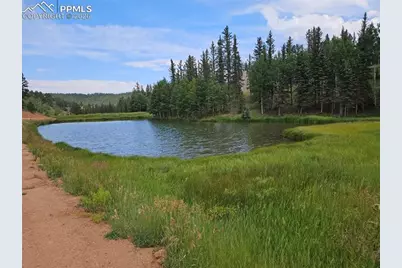 702 Lake Drive, Divide, CO 80814 - Photo 5