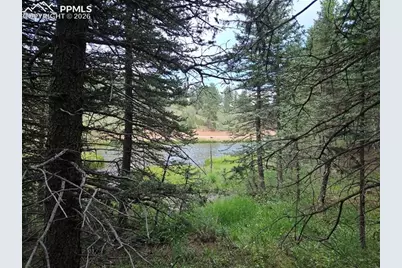 702 Lake Drive, Divide, CO 80814 - Photo 29