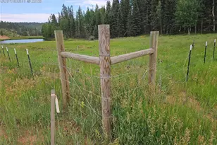 702 Lake Dr, Divide, CO 80814 - Photo 1