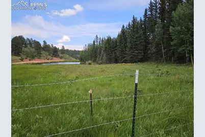 702 Lake Drive, Divide, CO 80814 - Photo 13