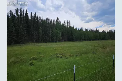 702 Lake Drive, Divide, CO 80814 - Photo 11