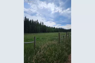 702 Lake Drive, Divide, CO 80814 - Photo 7