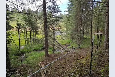 702 Lake Drive, Divide, CO 80814 - Photo 25